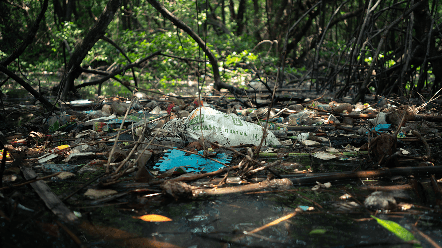 Plastic Overshoot Day en Indonésie